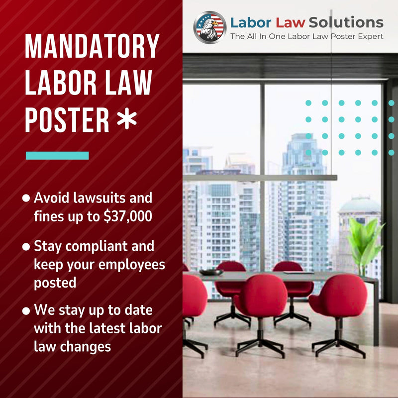 Georgia State and Federal Labor Law Poster 2025 - Non-Laminated Paper